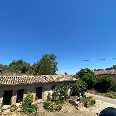 Philoufleur - Gite Restaure En Campagne Chaneins Esterno foto