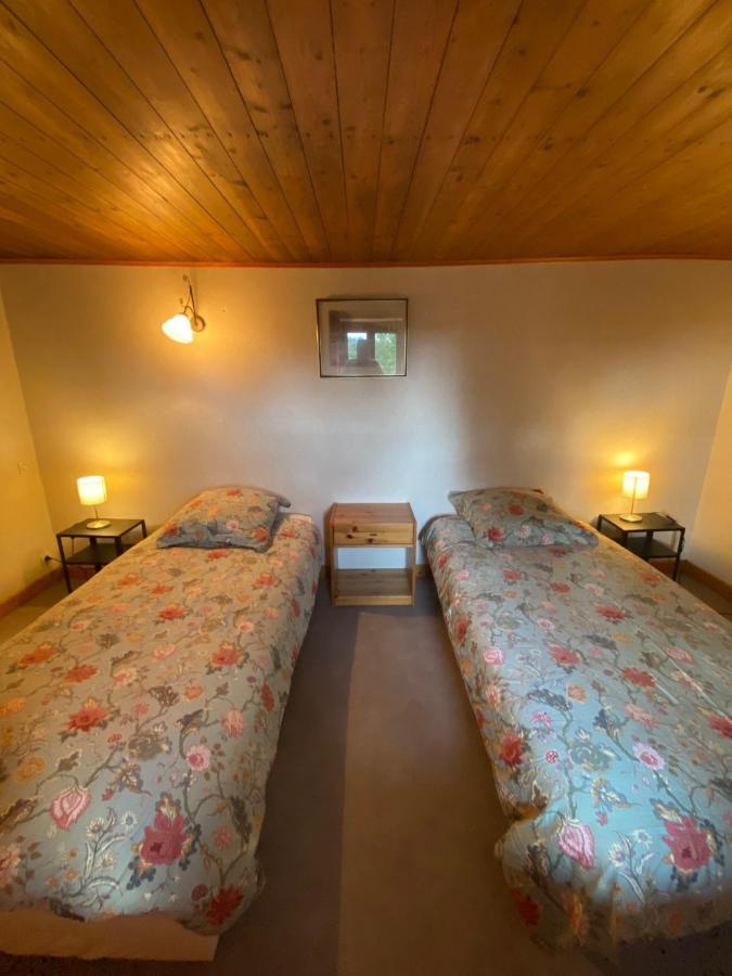 Philoufleur - Gite Restaure En Campagne Chaneins Esterno foto