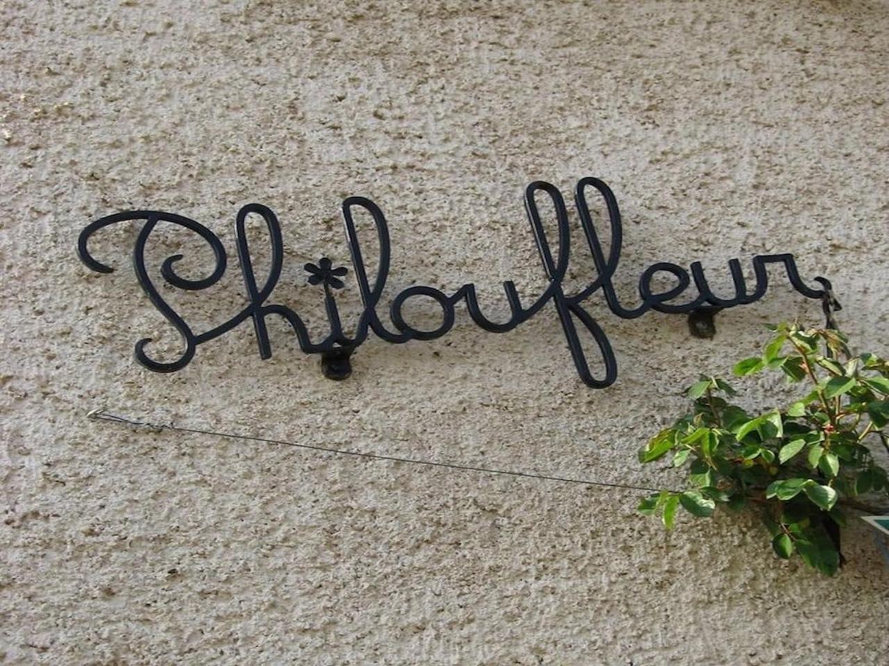 Philoufleur - Gite Restaure En Campagne Chaneins Esterno foto